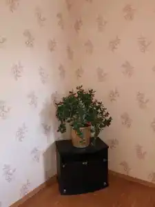 Гостевой дом на Зеленой, 8 - 48