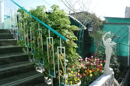 Green Palace - 0