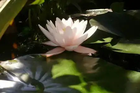 У Маргариты - 17