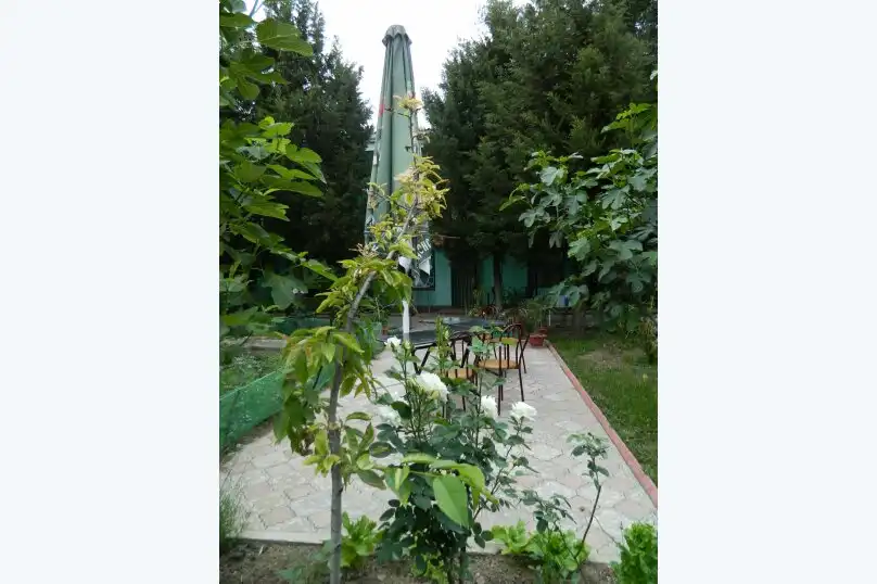 Сказочный - 24