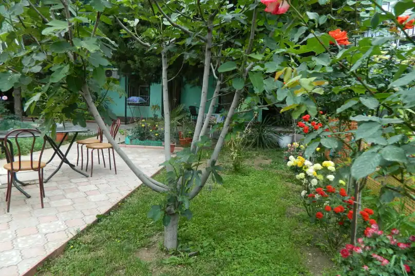 Сказочный - 25