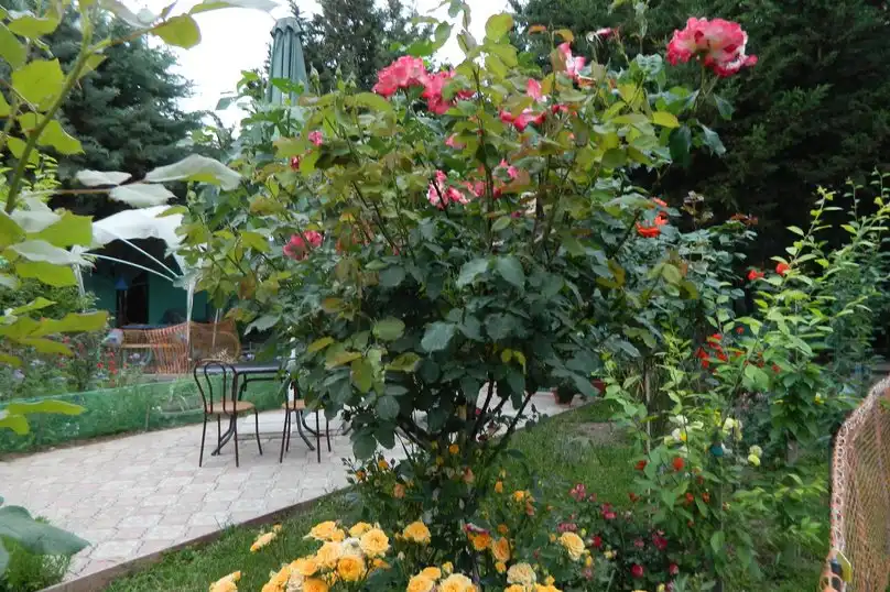 Сказочный - 27