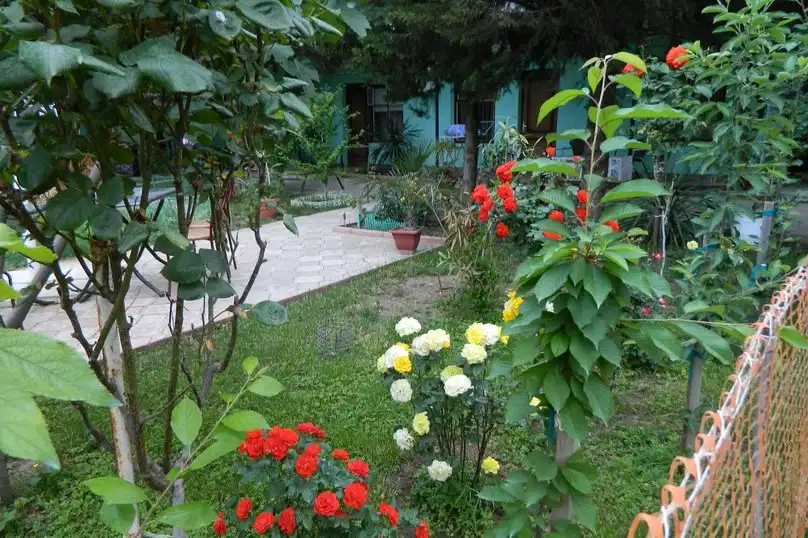 Сказочный - 28