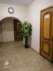 Радуга - 93