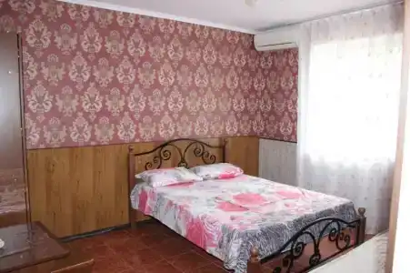 Виктория - 66