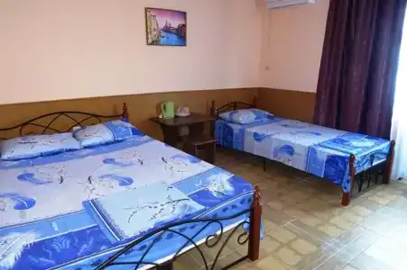 Виктория - 21