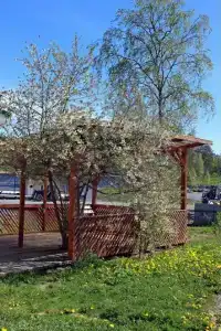 Ласточкино гнездо - 22