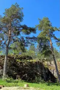 Ласточкино гнездо - 24