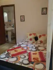 Южное Солнце - 43