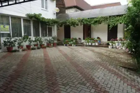 Лоза - 0