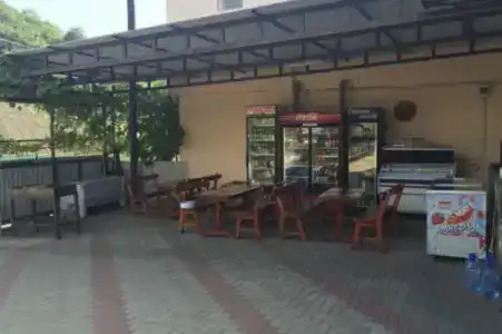 Лоза - 1