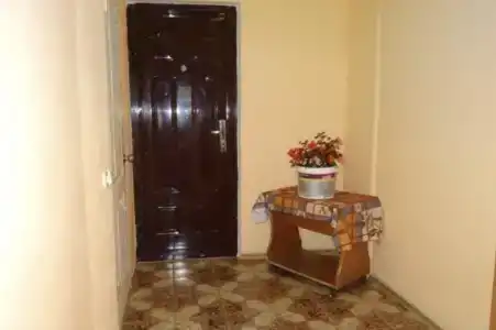 Лоза - 4