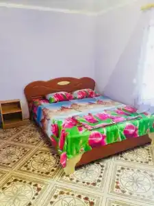 Виктория - 15