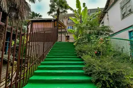 Марин Двор - 19