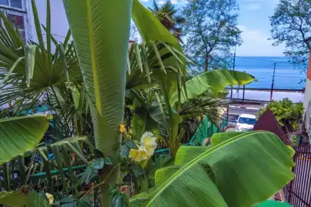 Марин Двор - 21