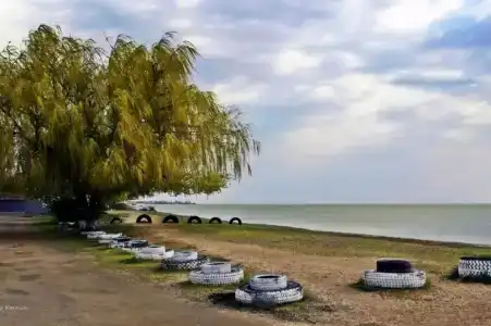 Грин - 14