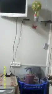 У Николая - 30