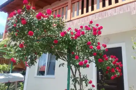 Валентина - 0