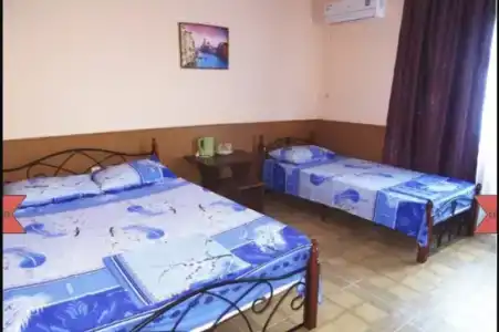 Виктория - 4
