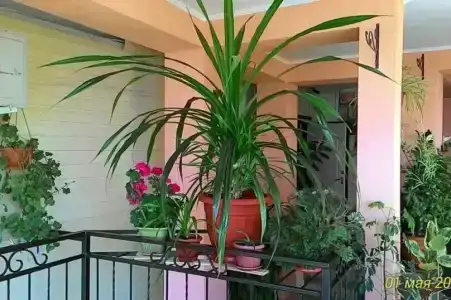 Гостевой дом у Татьяны и Владимира - 10