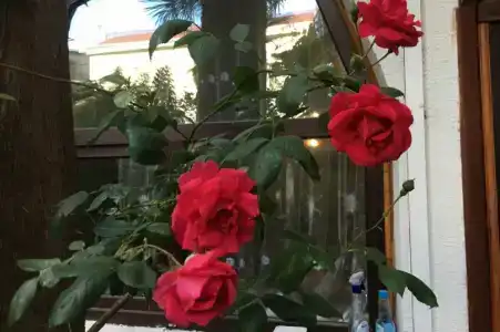 Коттедж на Войкова 8 - 22