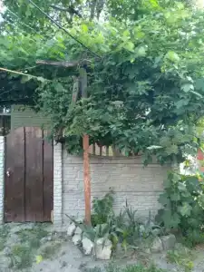 Уютный дом  со своим двориком. - 0