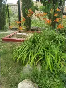 Уютный дом для отдыха семьи - 8
