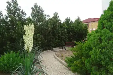 Касабланка - 33