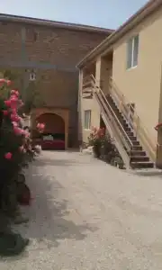 Олеся - 17