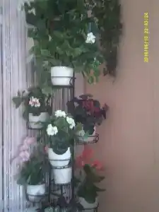 У Николая - 48