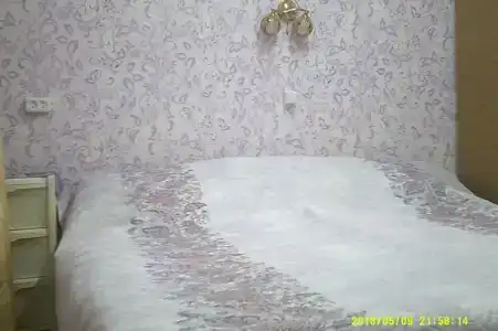 У Николая - 49