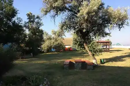 Новоотрадное-1 - 1