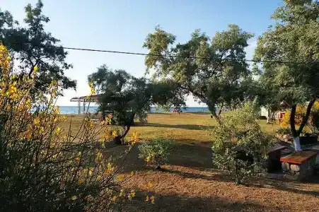 Новоотрадное-1 - 2