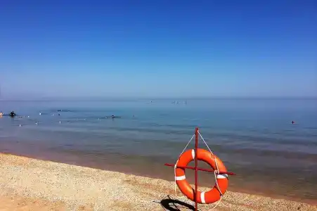 Новоотрадное-1 - 4