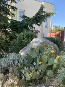 Коттедж в Мисхоре - 12