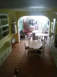Эллинг - 7