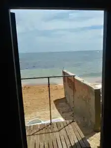 Эллинг - 13