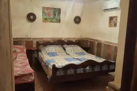 Магнолия - 23