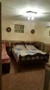 Магнолия - 27