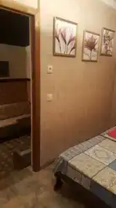 Магнолия - 32
