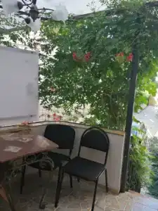Магнолия - 34