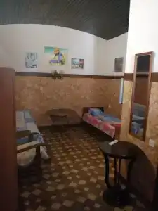 Магнолия - 35