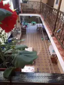 У Терезы - 5