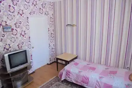 Уютный с Террасой - 25