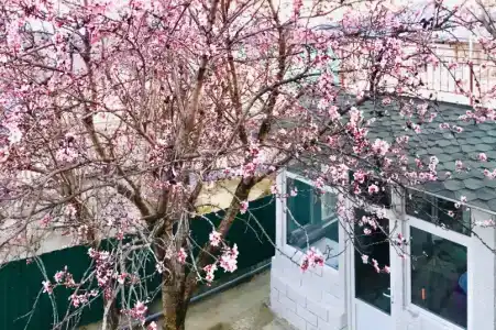 У камина - 111