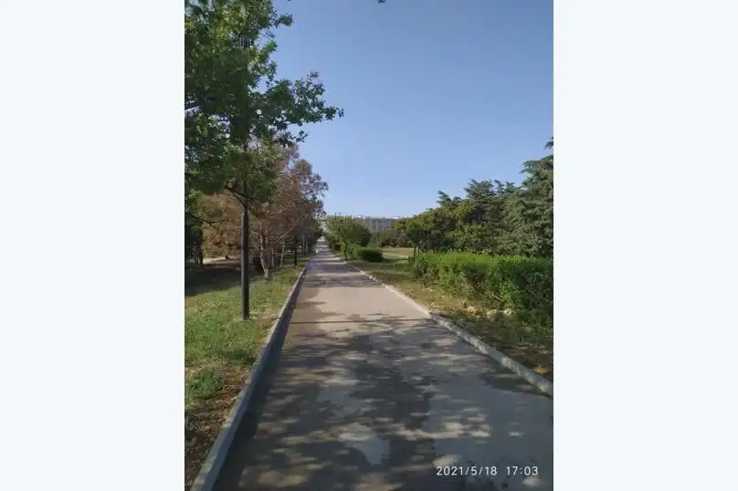 на Парковой 12 - 1