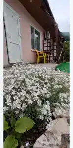 Афина - 9