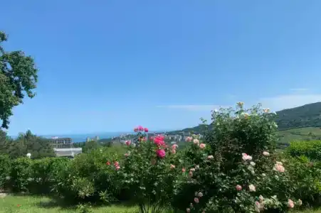 Вилла Диана - 23