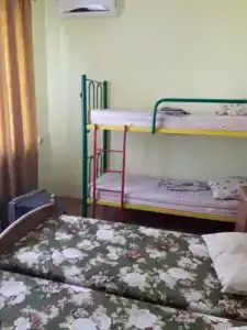Аист - 15