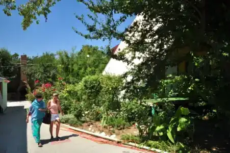 Южная Жемчужина - 54